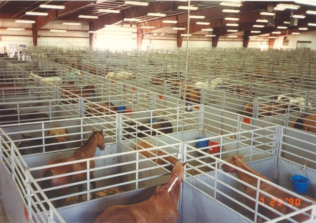 EXPO STALLS