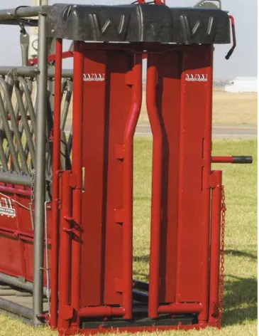 BEEFMASTER SERIES - BEEFMASTER XL (STRAIGHT)