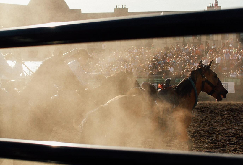 Essential Tips for Safe and Efficient <br> Rodeo Equipment Handling