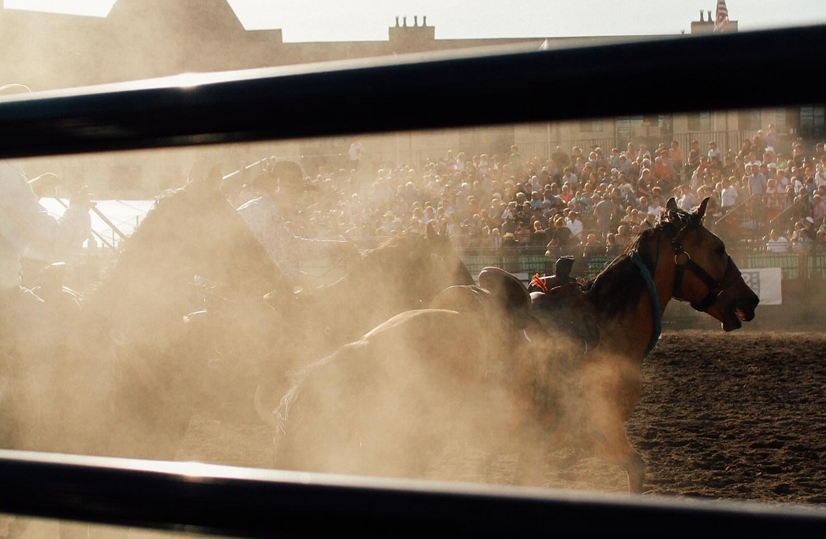 Essential Tips for Safe and Efficient <br> Rodeo Equipment Handling