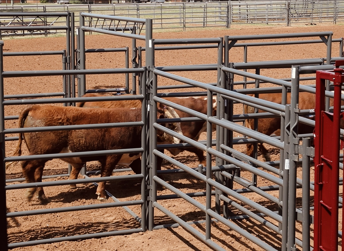 You can have confidence with WW livestock systems.