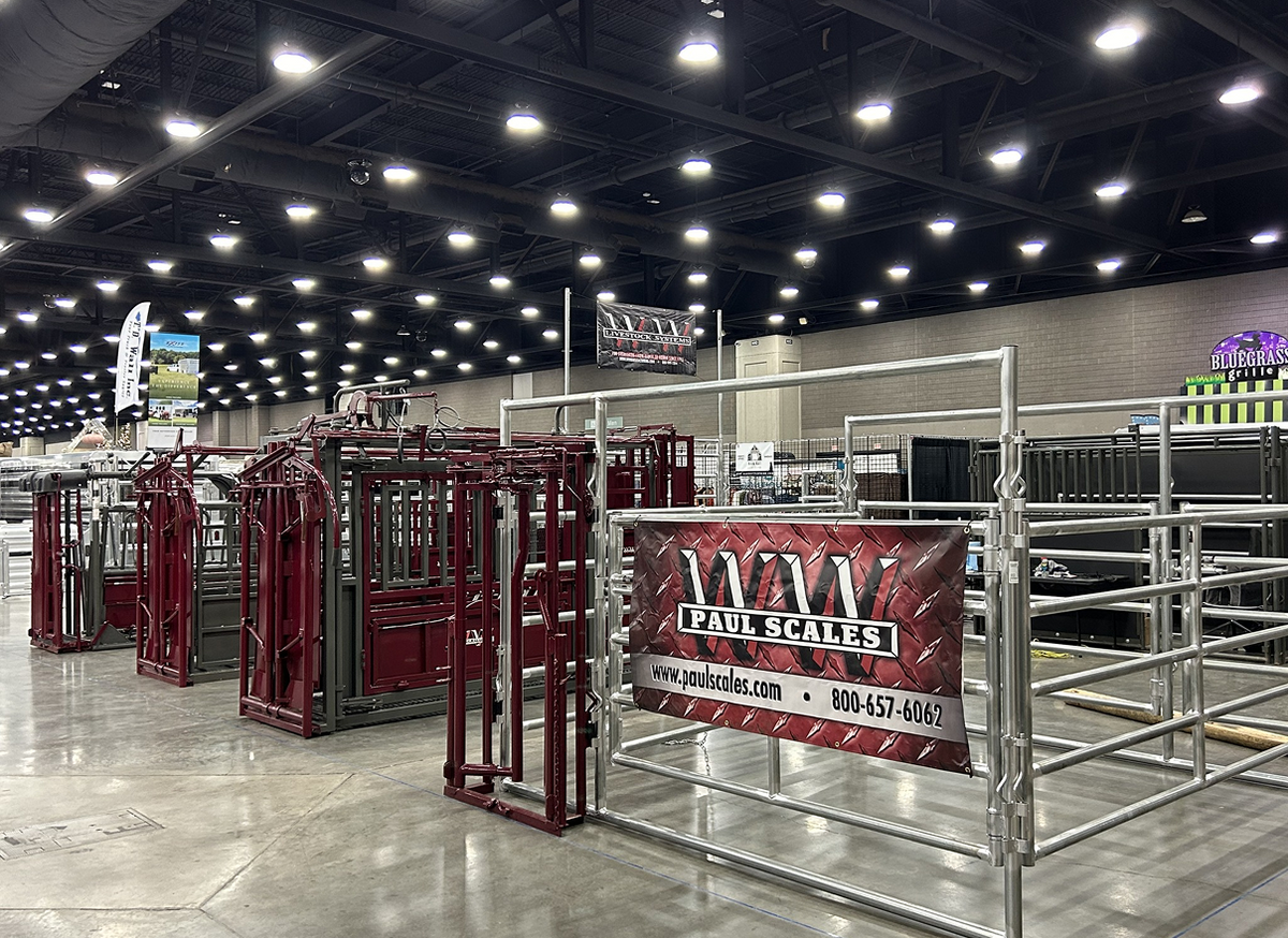 Come see us at the NAILE now through November 20th