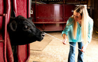 BULLMASTER SERIES