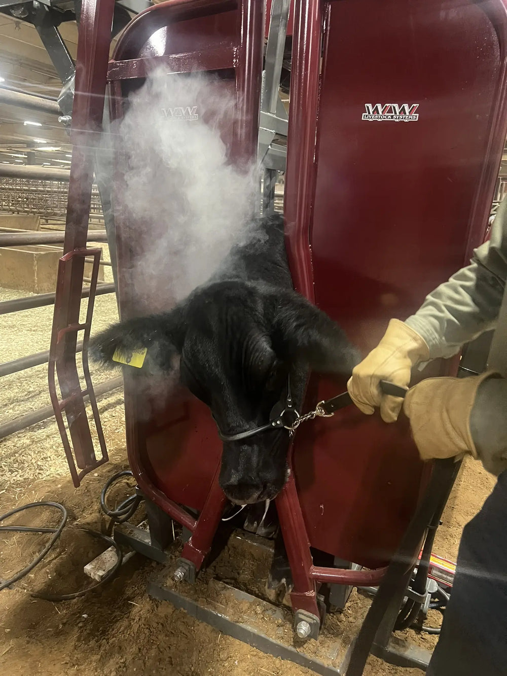 BULLMASTER SERIES