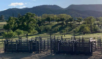 BUCKING CHUTE