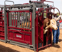 SEEDSTOCK SERIES