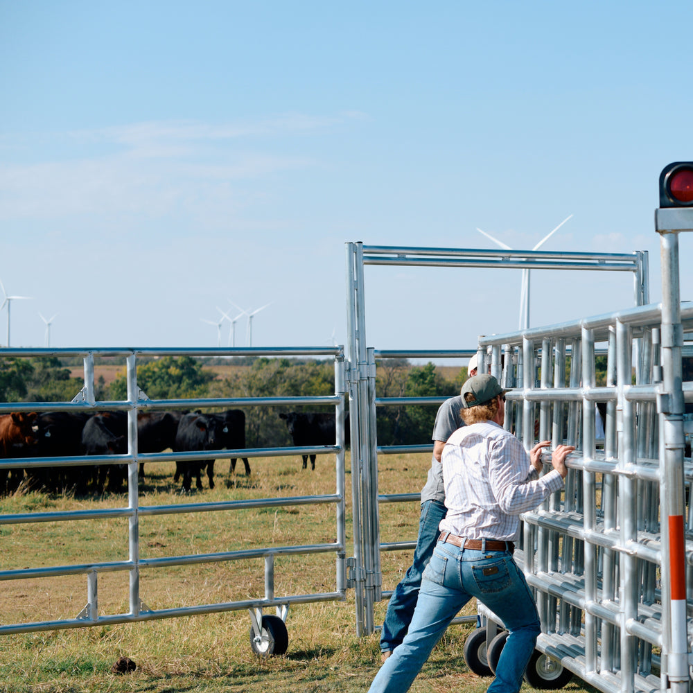 EXPRESS PORTABLE CORRAL