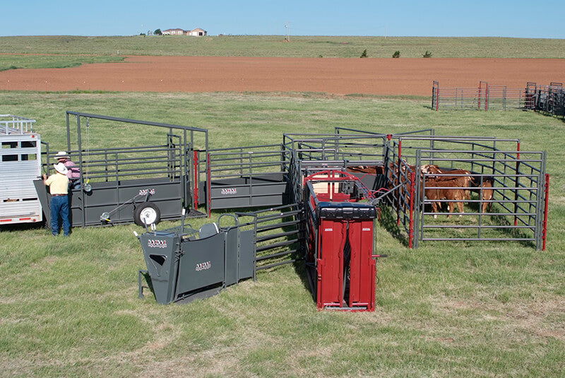 BEEFMASTER SERIES - BEEFMASTER XL (STRAIGHT)