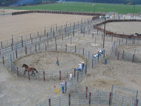HORSE ROUND PENS