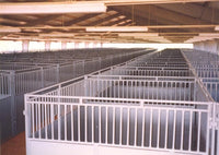 EXPO STALLS