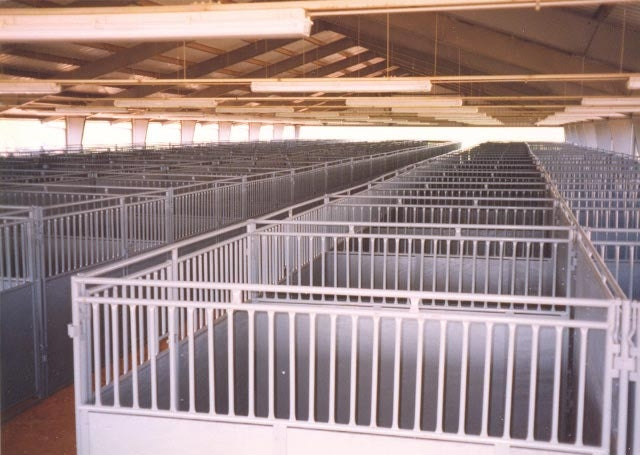 EXPO STALLS