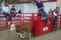 ROPING CHUTES