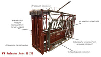 BEEFMASTER SERIES - BEEFMASTER XL (2VG)