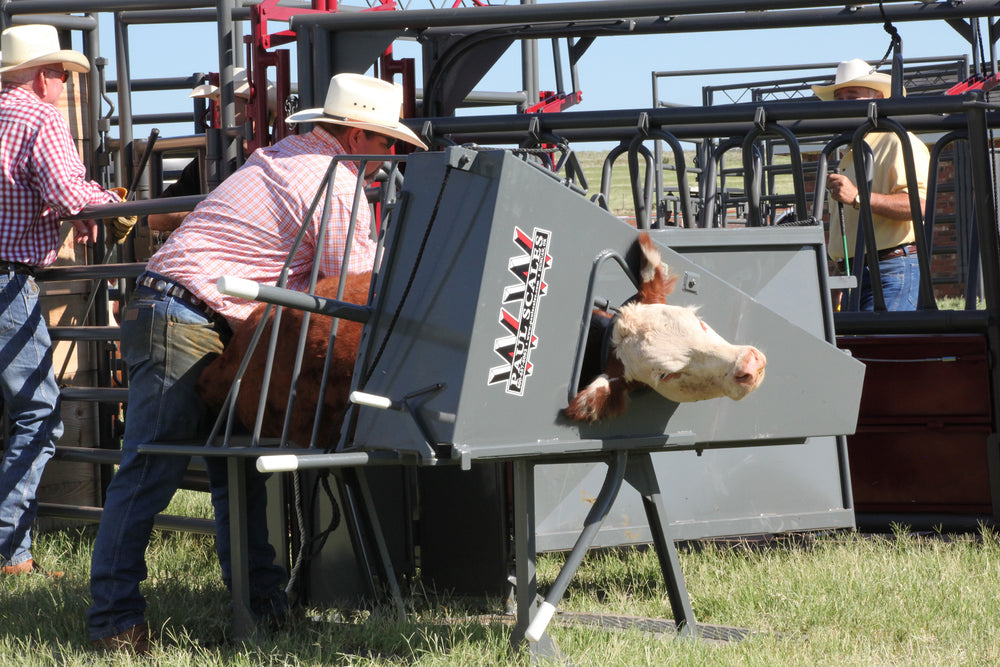 MANUAL CALF TABLE