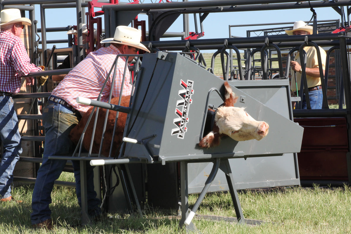 MANUAL CALF TABLE