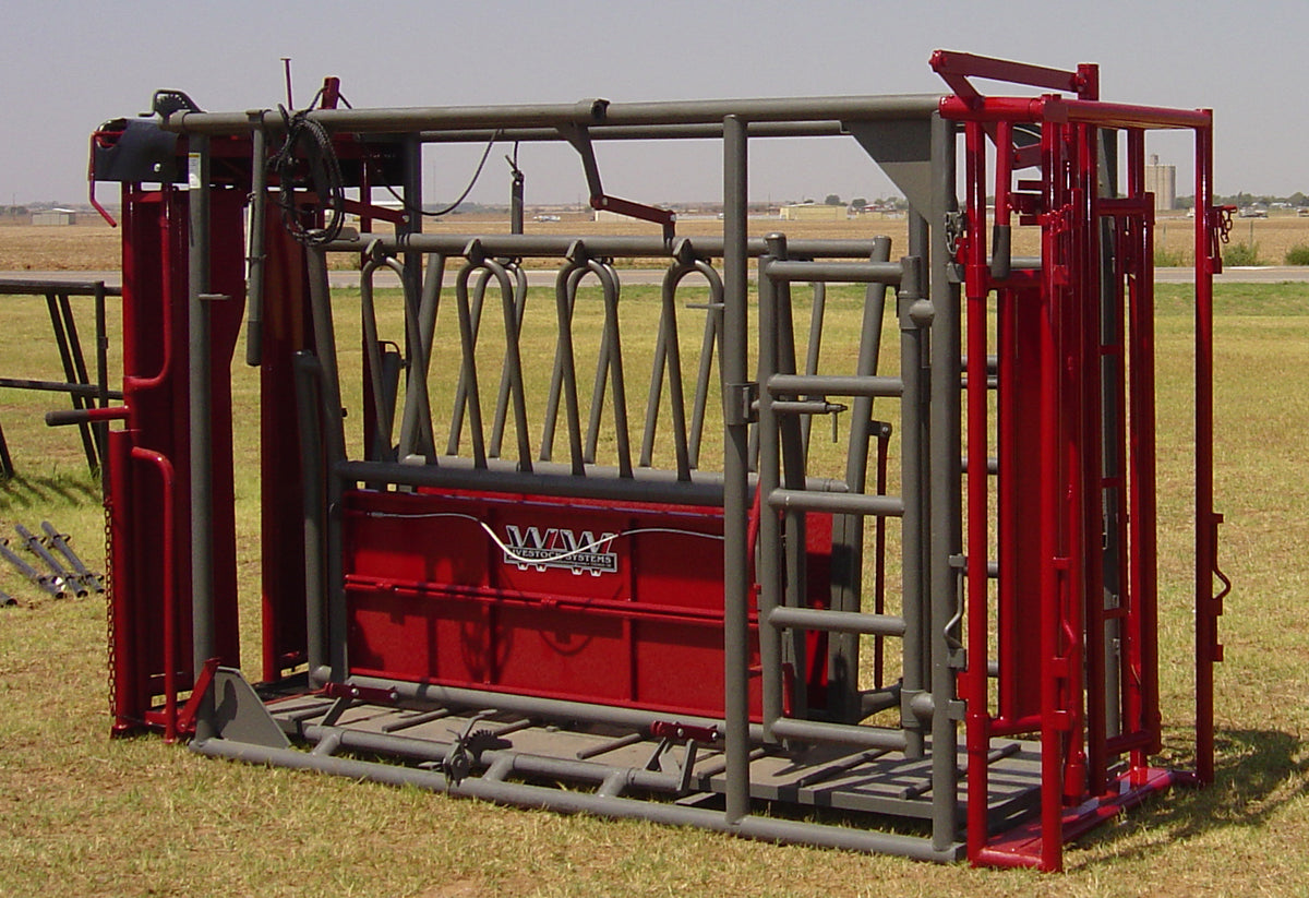 BEEFMASTER SERIES - BEEFMASTER XL (2VG)