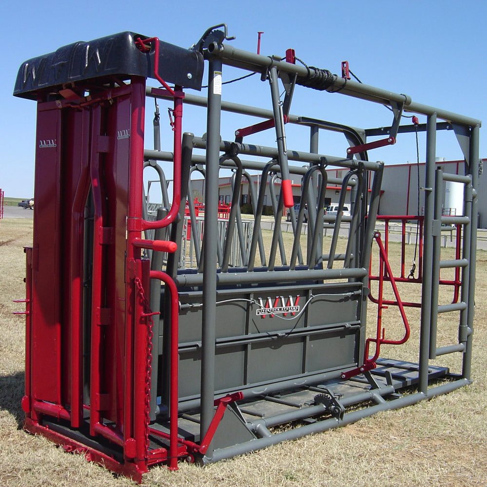 BEEFMASTER SERIES - BEEFMASTER XL (2VG)